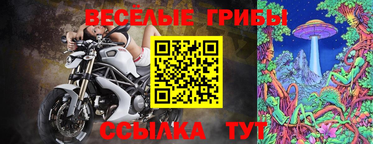 Ржев  Псилоцибиновые грибы Psilocybe  Вход с VPN 