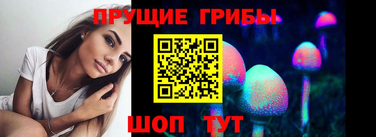 Псилоцибиновые грибы Cubensis Ржев